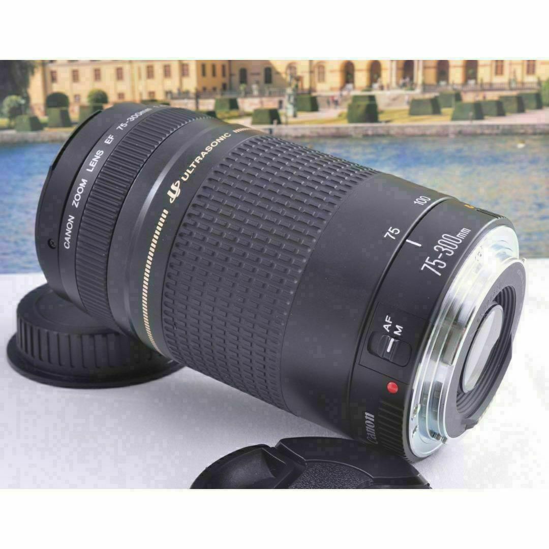 ♢Canon キヤノン 望遠レンズ 永久保存、瞬間激写! EF75-300mm ♢Canon キヤノン 望遠レンズ 永久保存、瞬間激写! EF75-300mm