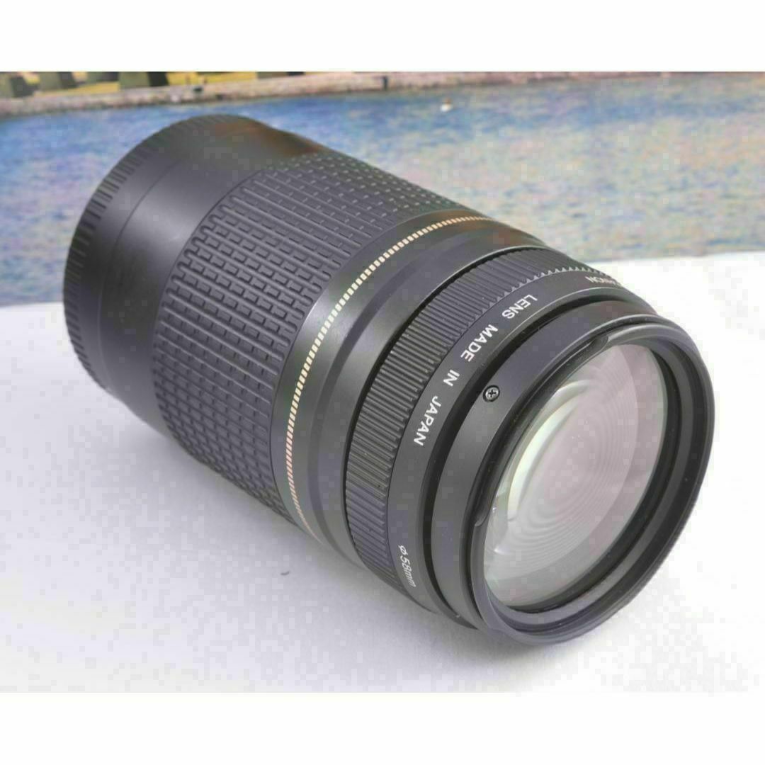 ♢Canon キヤノン 望遠レンズ 永久保存、瞬間激写! EF75-300mm ♢Canon キヤノン 望遠レンズ 永久保存、瞬間激写! EF75-300mm