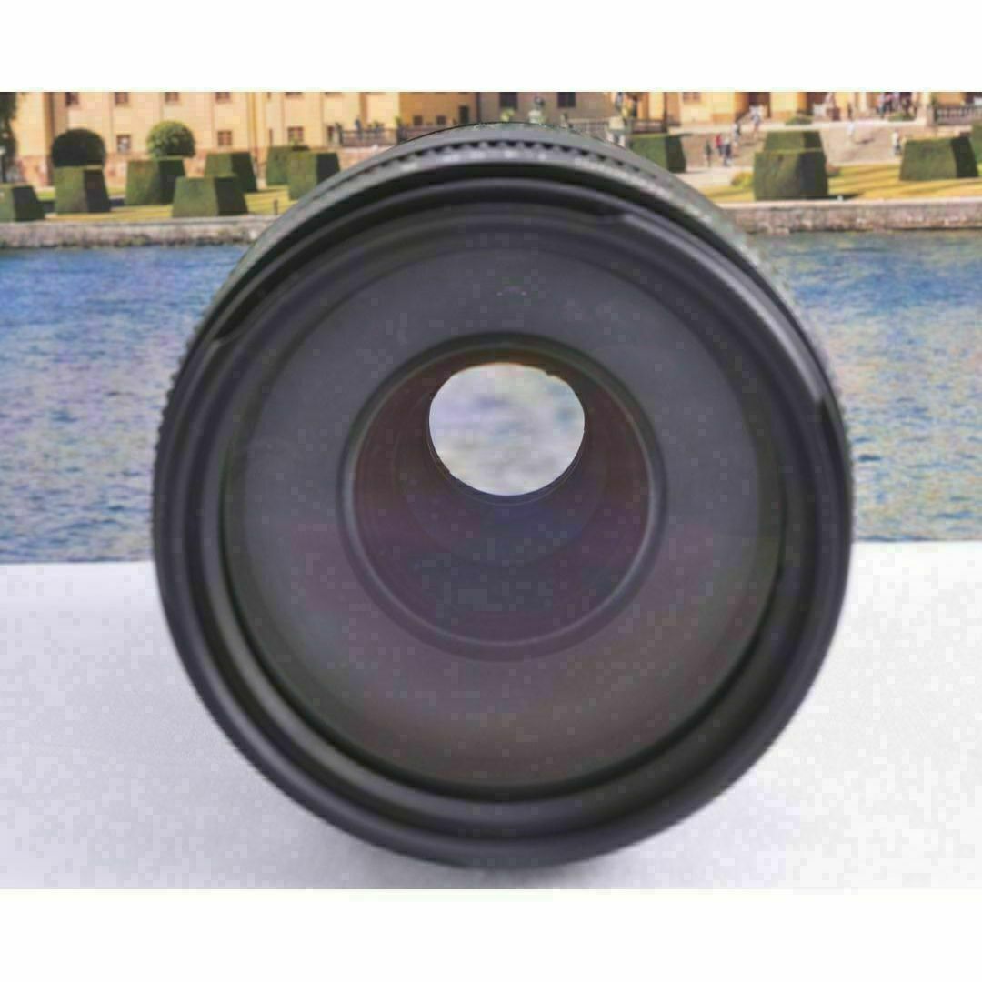 ♢Canon キヤノン 望遠レンズ 永久保存、瞬間激写! EF75-300mm ♢Canon キヤノン 望遠レンズ 永久保存、瞬間激写! EF75-300mm