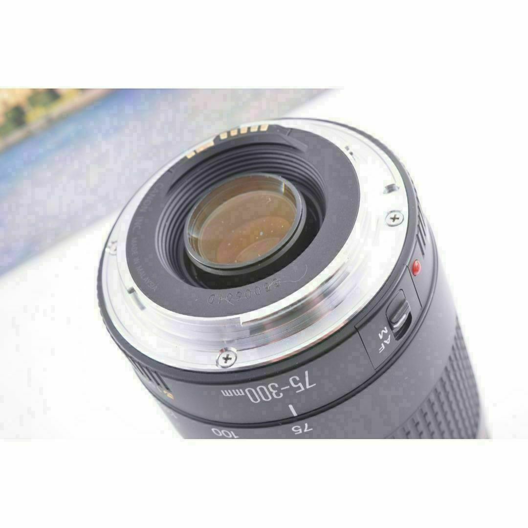 ♢Canon キヤノン 望遠レンズ 永久保存、瞬間激写! EF75-300mm ♢Canon キヤノン 望遠レンズ 永久保存、瞬間激写! EF75-300mm