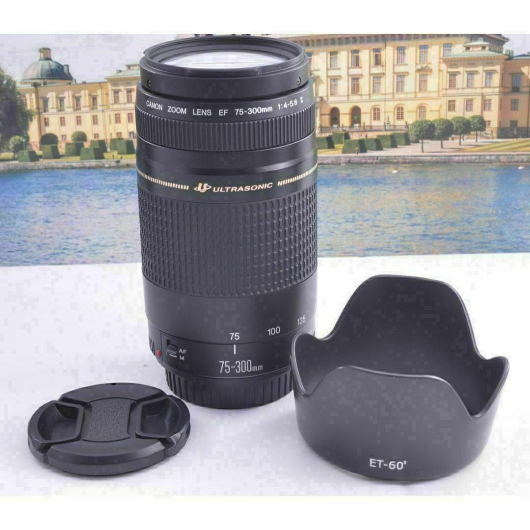 ♢Canon キヤノン 望遠レンズ 永久保存、瞬間激写! EF75-300mm ♢Canon キヤノン 望遠レンズ 永久保存、瞬間激写! EF75-300mm