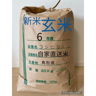 《玄米》  お米20kg 令和6年　鳥取県産 コシヒカリ《玄米》 (米/穀物)