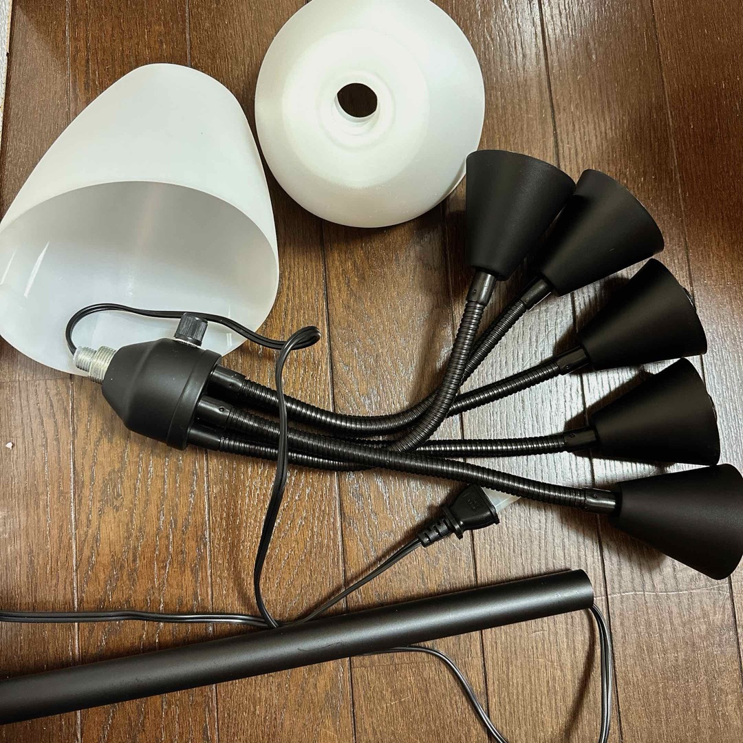 Lightaccents メデューサ フロアランプ アクリルシェード付き 照明 Lightaccents メデューサ フロアランプ アクリルシェード付き 照明