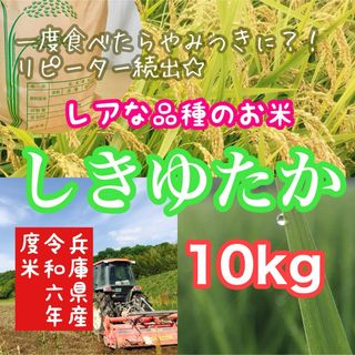 【レア品種 シキユタカ】兵庫県産新米＊湧き水育ち農家のお米 10kg(米/穀物)