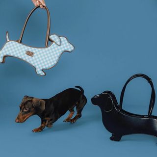 Casselini - CryingCenter ダックスフンド エコレザー ミニバッグ ハンド 犬