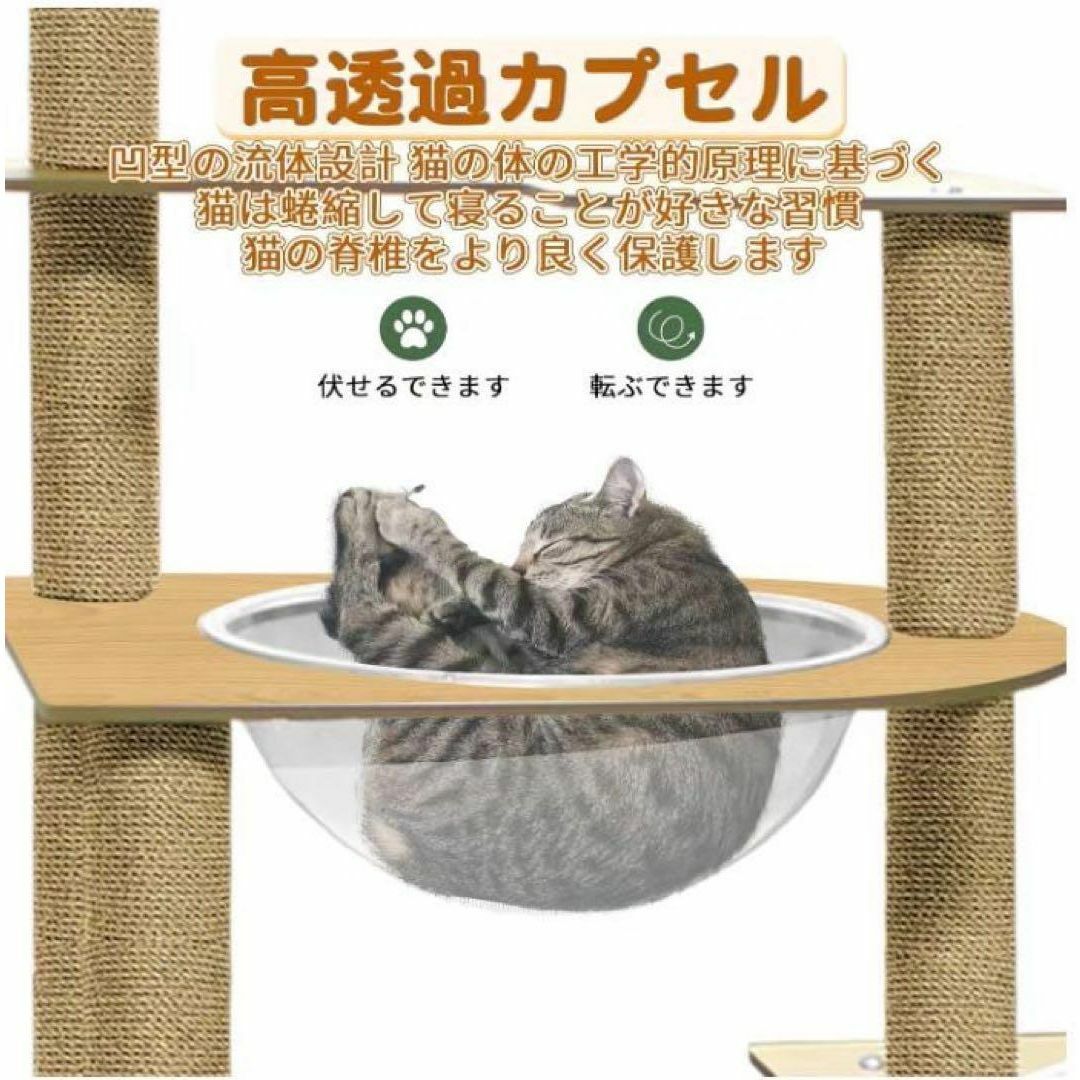 キャットタワー 据え置き 木製 スリム 爪とぎ 猫タワー 透明