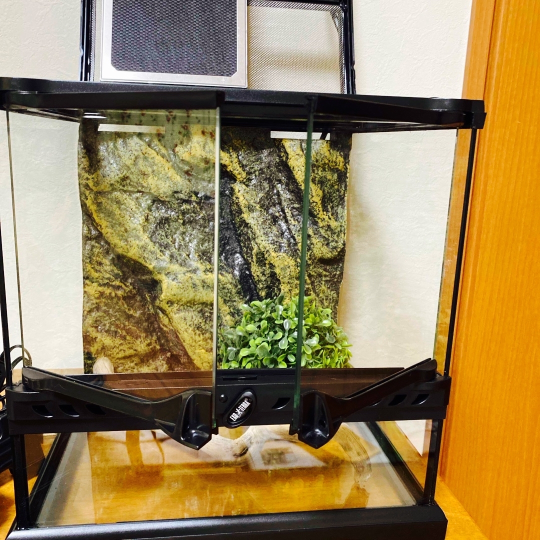 爬虫類飼育セット (爬虫類飼育セット(美品)暖突、ライト 爬虫類飼育セット (爬虫類飼育セット(美品)暖突、ライト