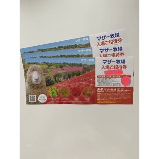 マザー牧場 入場ご招待券 3枚　2025年1月31日(金)まで(遊園地/テーマパーク)