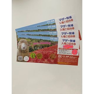 マザー牧場 入場ご招待券 4枚　2025年1月31日(金)まで(遊園地/テーマパーク)