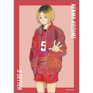 【孤爪研磨B】ハイキュー!! トレーディング Ani-Art 第5弾 ブロマイド(その他)