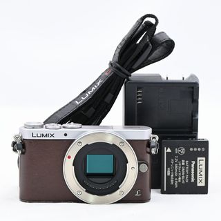 パナソニック(Panasonic)のPanasonic DMC-GM1S ボディ ブラウン(ミラーレス一眼)