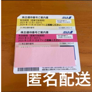 エーエヌエー(ゼンニッポンクウユ)(ANA(全日本空輸))のANA 株主優待券　2枚　送料込(その他)