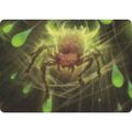 マジックザギャザリング FDN JP 13/54 魂を紡ぐもの (日本語版 アート・カード) ファウンデーションズ (MTG)