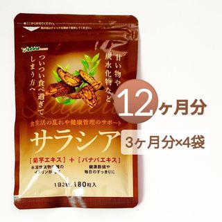 約12ヶ月分 サラシア 菊芋エキス バナバエキス ダイエット サプリメント(その他)