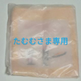 たむむさま専用　ねずみくんのチョッキポーチ(キャラクターグッズ)