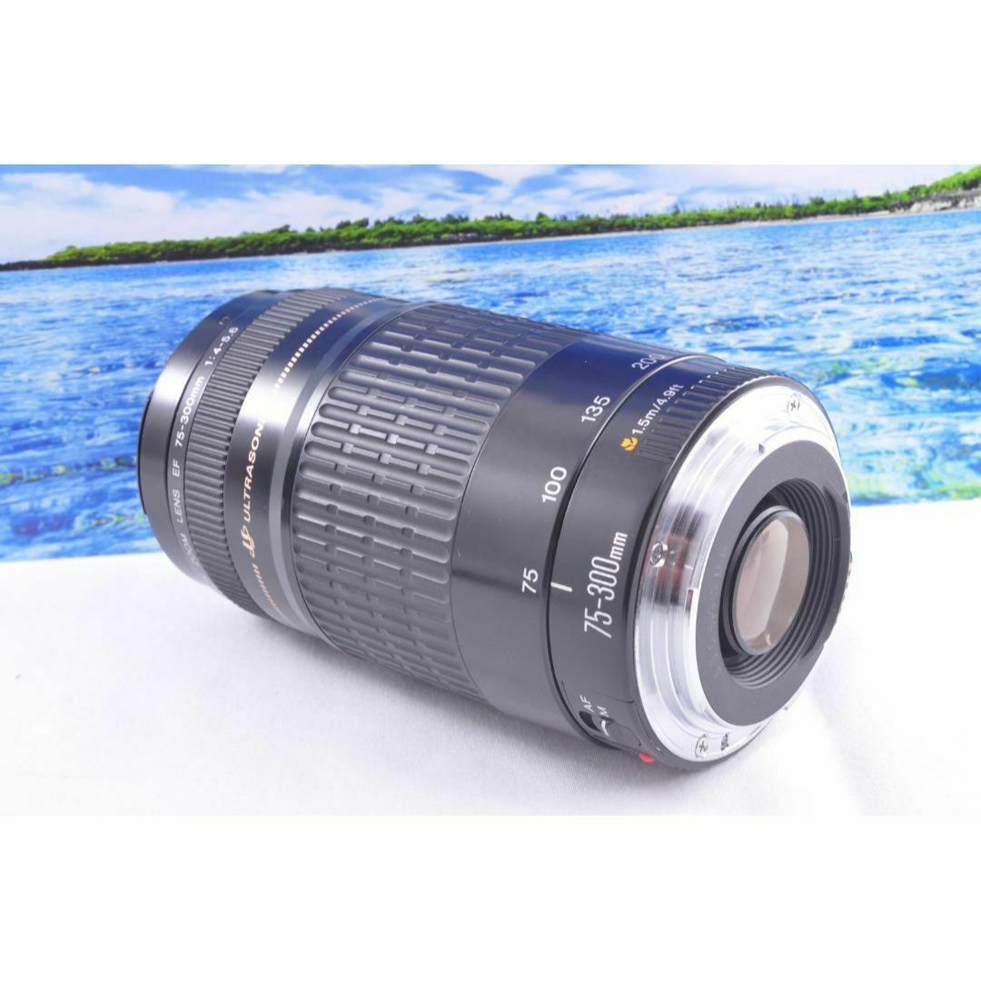 ☆Canon 愛くるし キヤノン 望遠レンズ 75-300mm 望遠を始めませ ☆Canon 愛くるし キヤノン 望遠レンズ 75-300mm 望遠を始めませ
