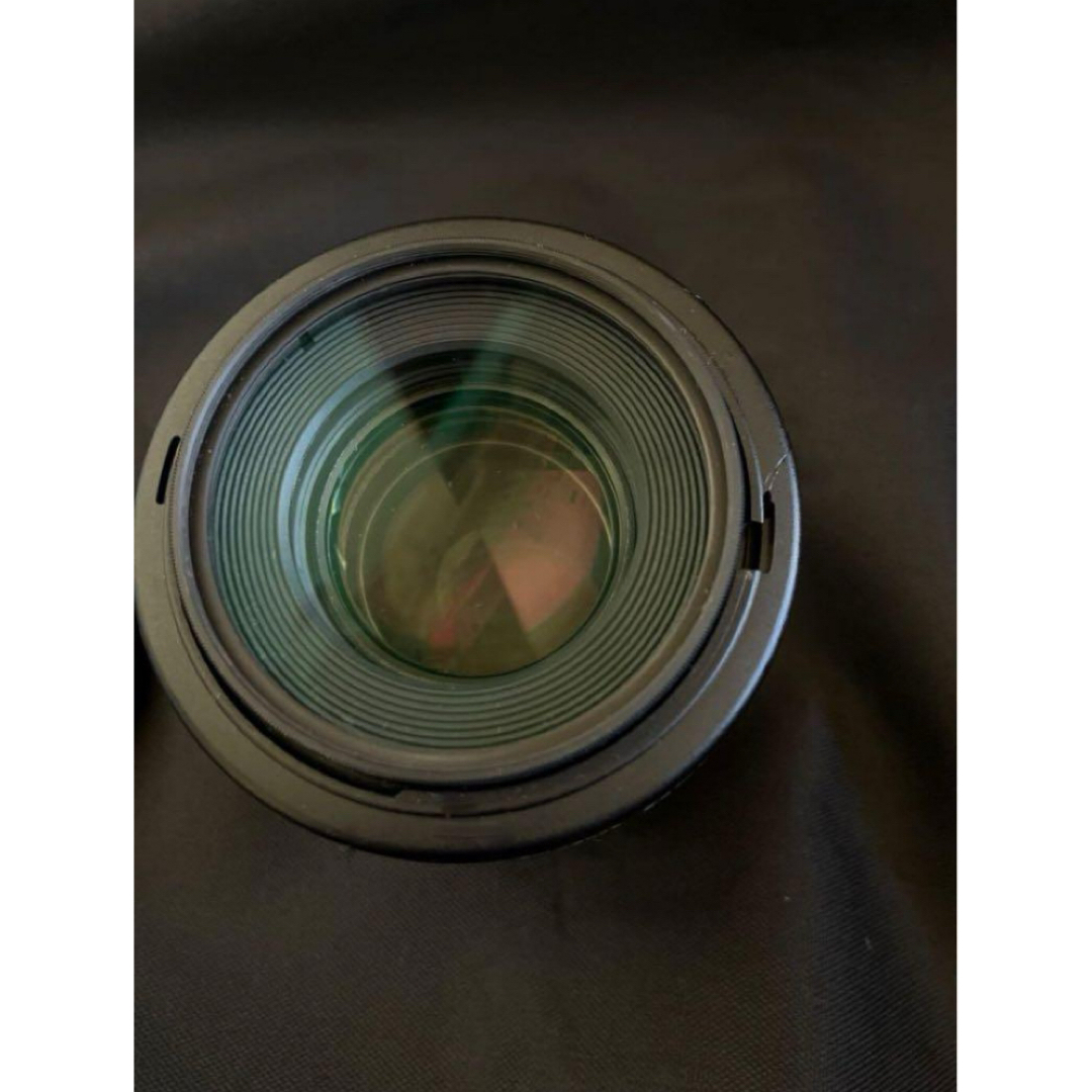 canon 100mm f2.8 マクロ レンズ canon 100mm f2.8 マクロ レンズ