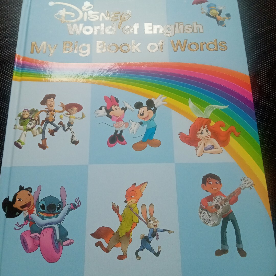未使用　dwe my big book of words