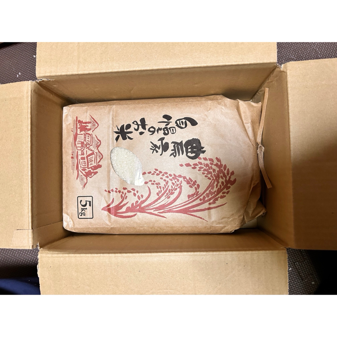 お米　10㎏　送料込み