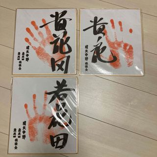 貴ノ花・貴花田・若花田　手形色紙(その他)
