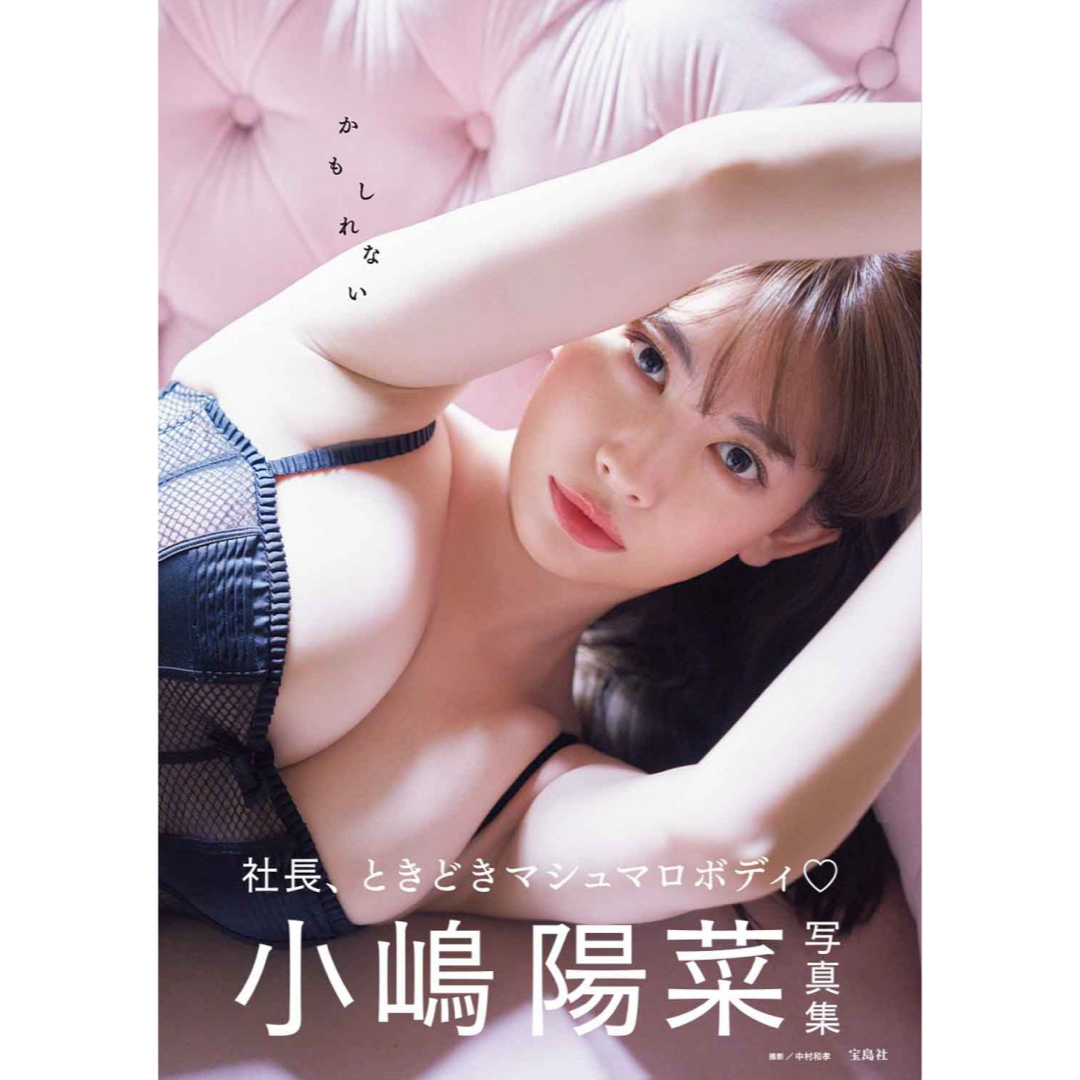 Her lip to(ハーリップトゥ)の小嶋陽菜 写真集 かもしれない エンタメ/ホビーのタレントグッズ(女性タレント)の商品写真