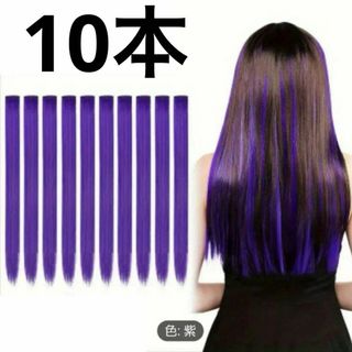 紫色エクステ 10本セット コスプレ おしゃれ 変身(その他)