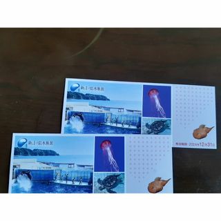 新江ノ島水族館の入場券2枚組 2024.12.31(遊園地/テーマパーク)
