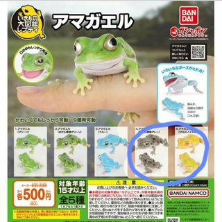 いきもの大図鑑 レプティ(その他)