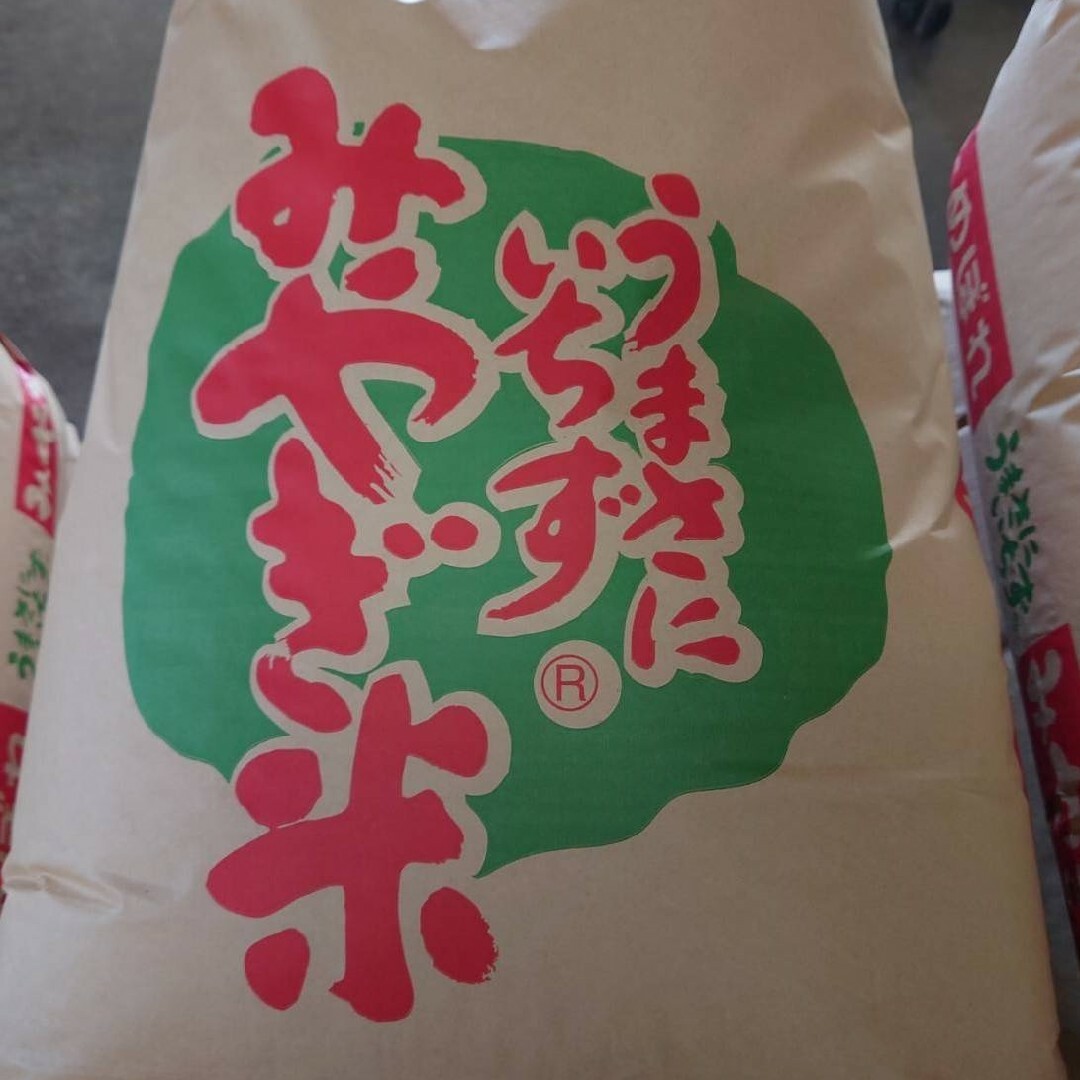 精白米20kg【新米】令和6年度 宮城県産ひとめぼれ『環境保全米』 精白米20kg【新米】令和6年度 宮城県産ひとめぼれ『環境保全米』