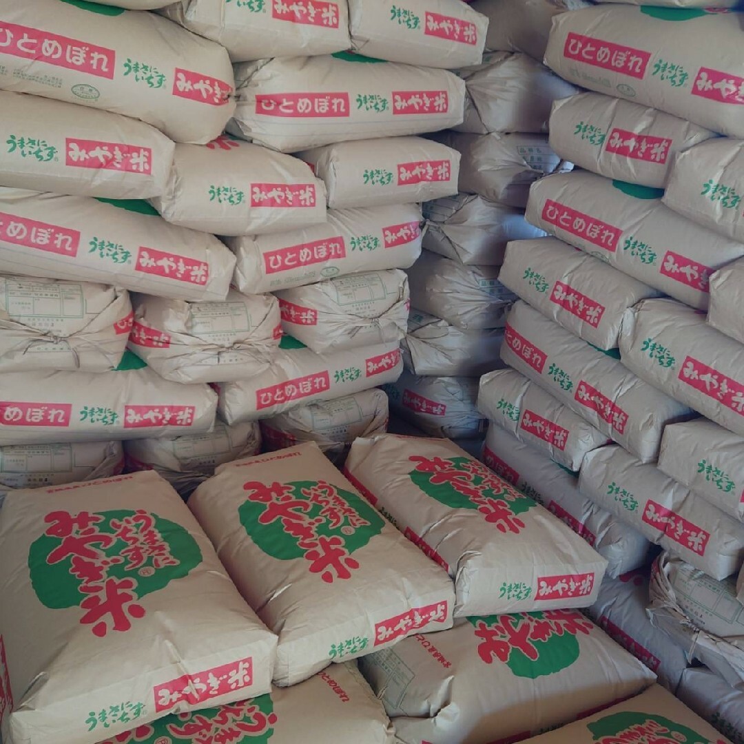 精白米20kg【新米】令和6年度 宮城県産ひとめぼれ『環境保全米』 精白米20kg【新米】令和6年度 宮城県産ひとめぼれ『環境保全米』