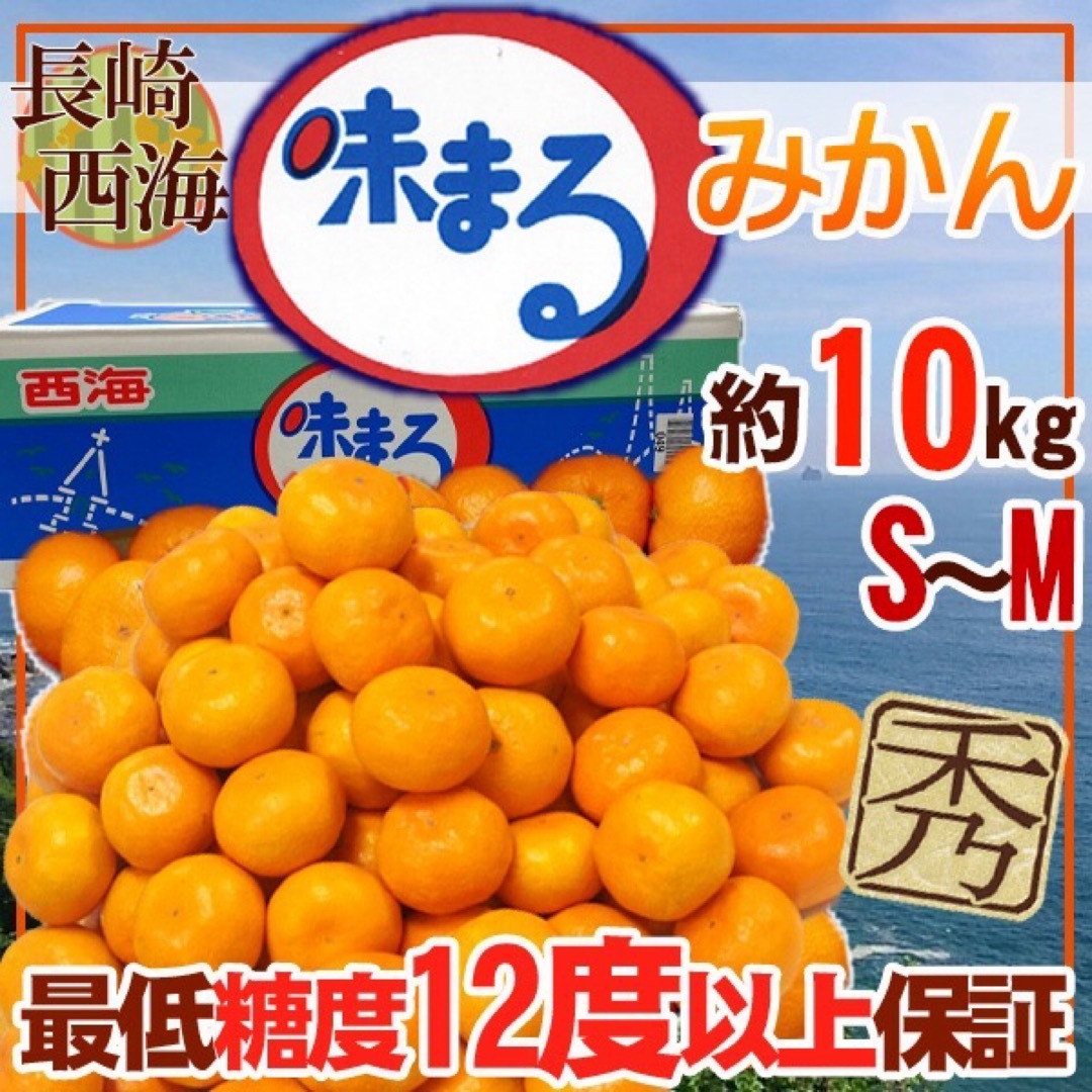 長崎県産 味まるみかん S〜M 約10kg 秀品 食品/飲料/酒の食品(フルーツ)の商品写真