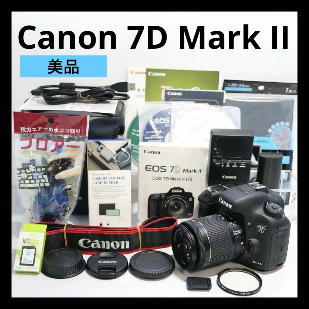 Canon - 【Canon EOS 7D Mark Ⅱ 】STM 標準レンズ 豪華セット