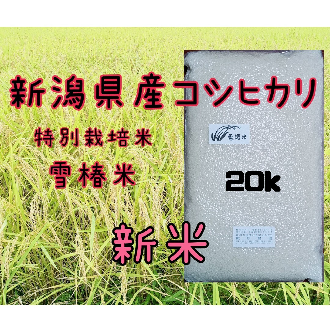 chii様専用商品です。令和6年産 プリンセスサリー 玄米 10㎏ バスマティの香り 岡山県産。 新米 玄米コシヒカリ24kg 2/3袋 chii様専用商品です。えりプロフ必読。 新米 玄米コシヒカリ24kg 2/3袋