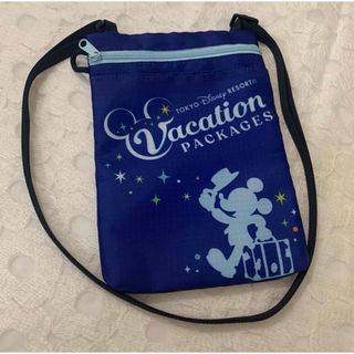 ディズニー(Disney)の⭐︎ バケーションパッケージ予約者限定 ＊.° チケットホルダー ⭐︎(その他)