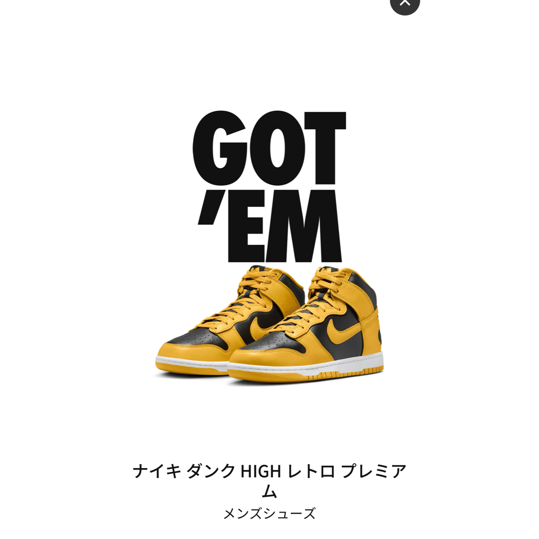 NIKE ダンク ウータンクラン 27cm Wu-Tang Clan ダンク 靴/シューズ NIKE ダンク ウータンクラン 27cm Wu-Tang Clan ダンク 靴/シューズ