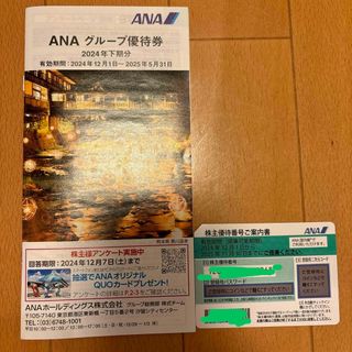 ANA 全日空 株主優待券 2024年12月1日～2025年5月31日(その他)