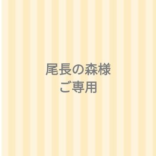 尾長の森様 ご専用です。(チャーム)