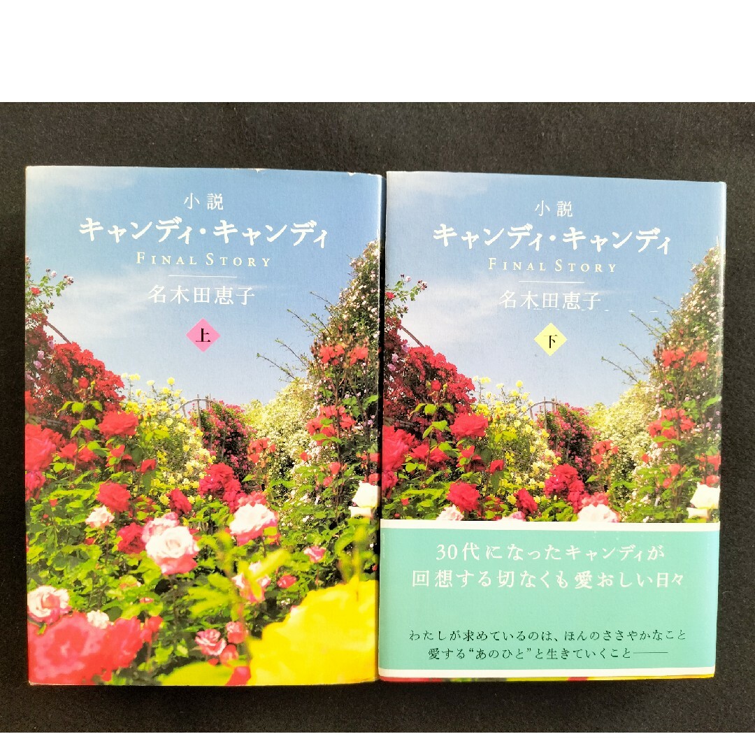 _小説キャンディ・キャンディ 上下巻 final story 名木田恵子 本 _小説キャンディ・キャンディ 上下巻 final story 名木田恵子 本