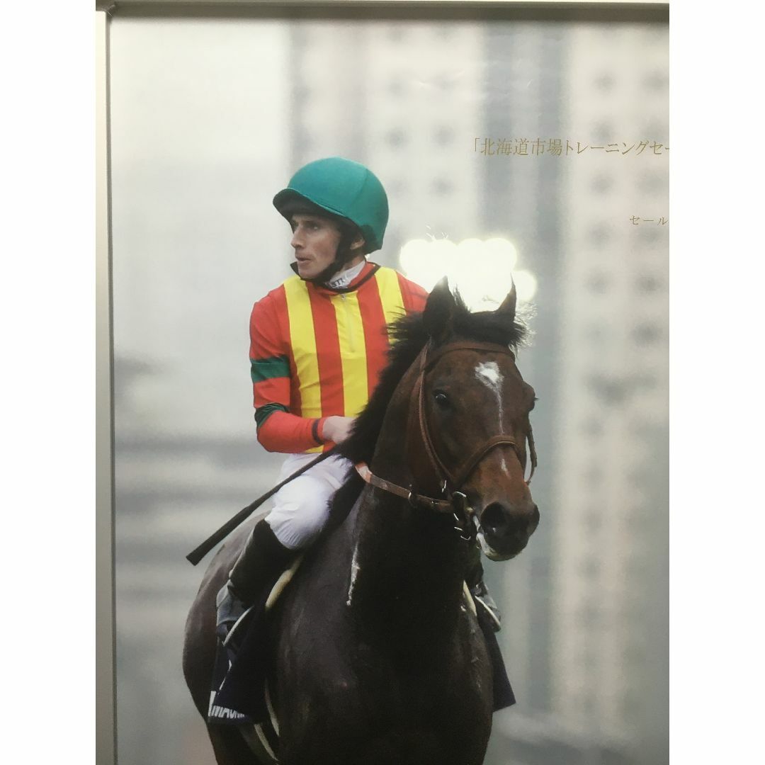 競馬ポスターB1：モーリス 「北海道市場 Vol.126」2015年 香港マイル