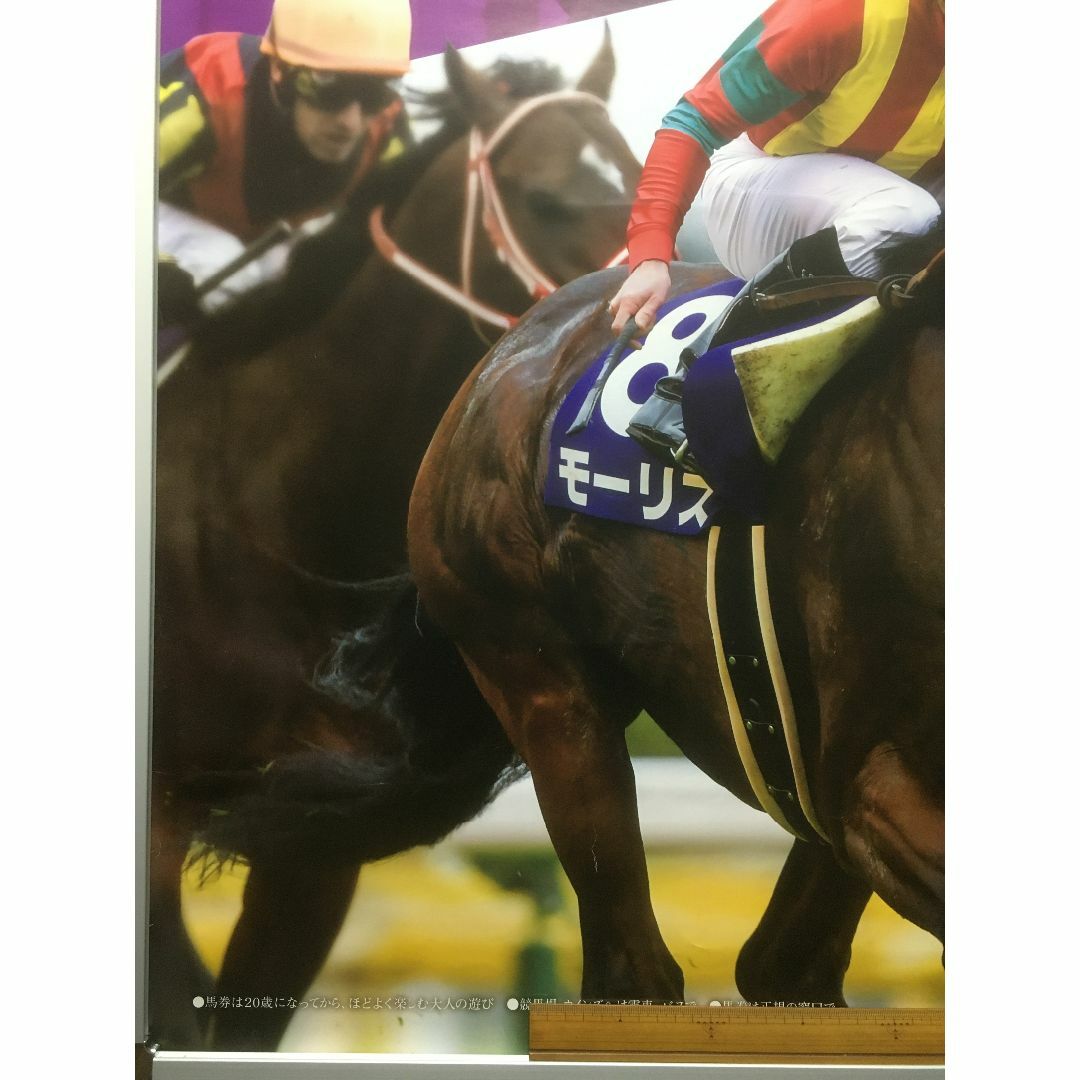 超人気新品 競馬ポスターB1：モーリス 「2017年 第156回 天皇賞(秋)」 コレクション