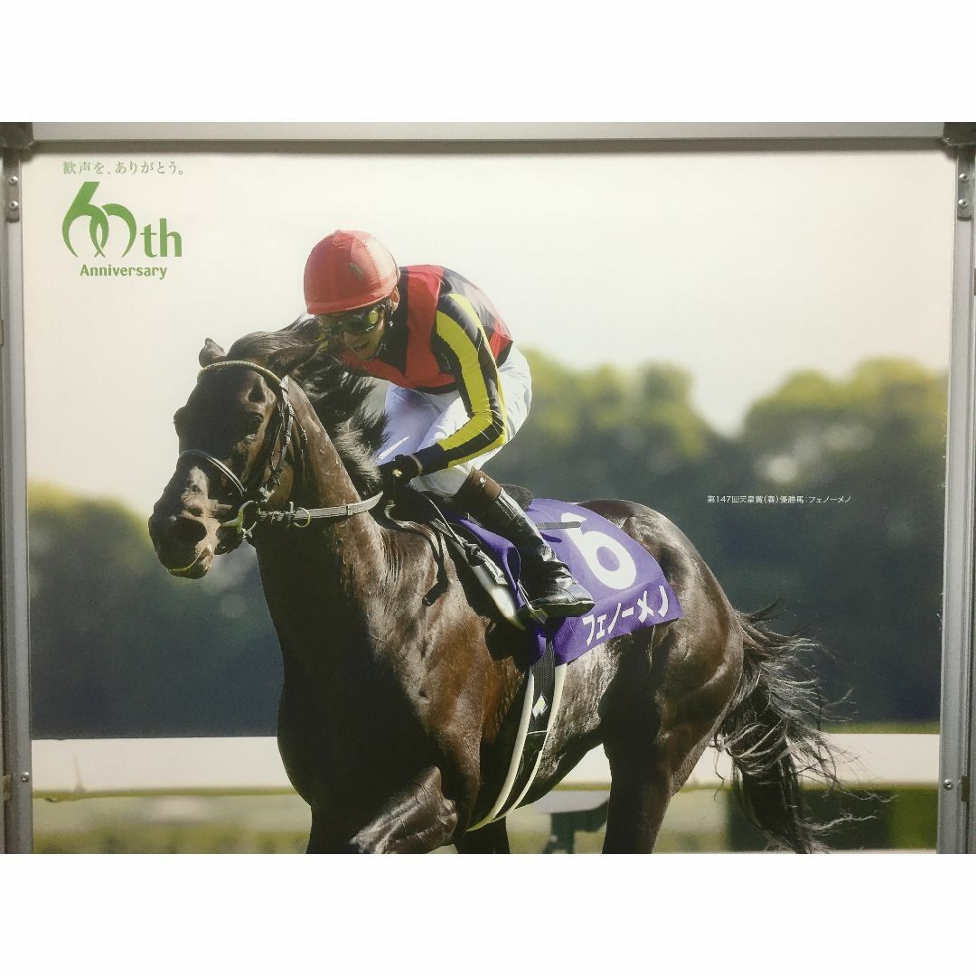 競馬ポスターB1：フェノーメノ 「2014年 第149回 天皇賞(春)」