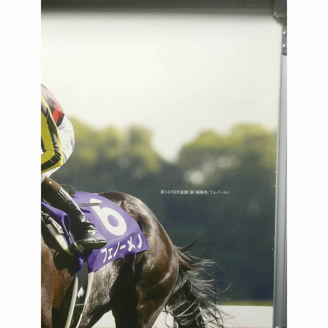 競馬ポスターB1:フェノーメノ 「2014年 第149回 天皇賞(春)」 競馬ポスターB1:フェノーメノ 「2014年 第149回 天皇賞(春)」