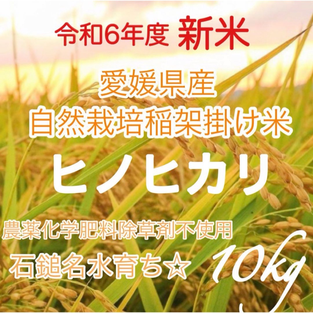 新米⭐︎自然栽培天日干し米ヒノヒカリ10㌔ 新米⭐︎自然栽培天日干し米ヒノヒカリ10㌔