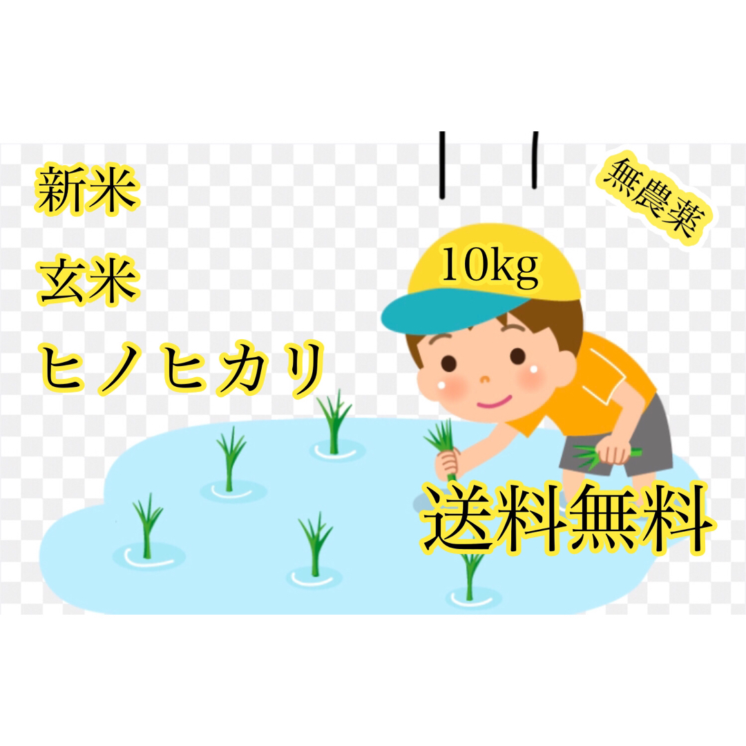 令和6年度産 新米玄米ヒノヒカリ10kg