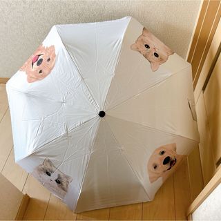 日傘 軽量 UVカット 遮光 折りたたみ傘 ワンタッチ 自動開閉　晴雨兼用 断熱(傘)