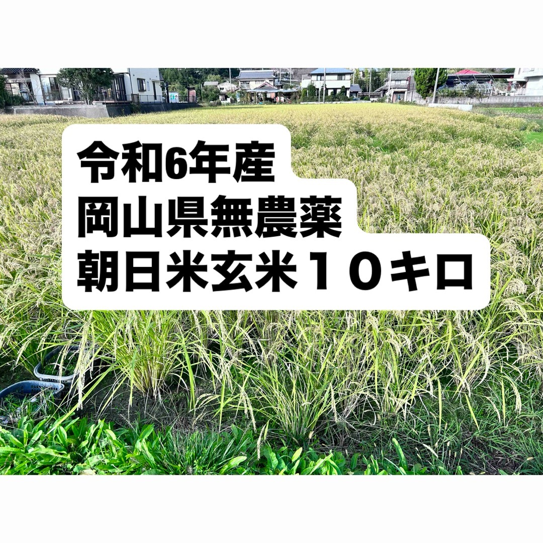 新米】令和6年産岡山県無農薬朝日米玄米10キロ 新米】令和6年産岡山県無農薬朝日米玄米10キロ