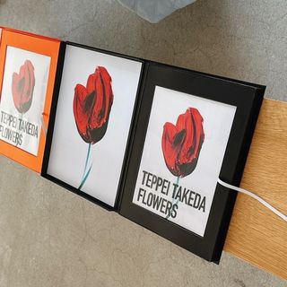 TEPPEI TAKEDA FLOWERS 武田鉄平 通常盤 虚し 外 サイン入り TEPPEI TAKEDA FLOWERS 武田鉄平 通常盤 虚し 外 サイン入り