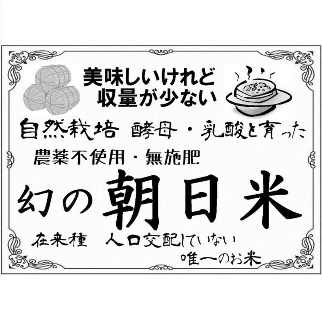 自然栽培 朝日米 20kg (2.5×8袋)玄米 R6年 在来種 農薬不使用玄米 自然栽培 朝日米 20kg (2.5×8袋)玄米 R6年 在来種 農薬不使用玄米
