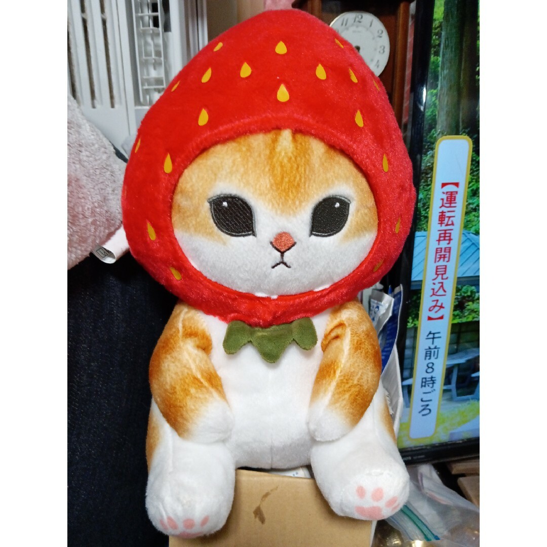 モフサンドぬいぐるみ新品
