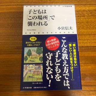 ショウガクカン(小学館)の即決OK‼️送料無料‼️子どもは「この場所」で襲われる(その他)